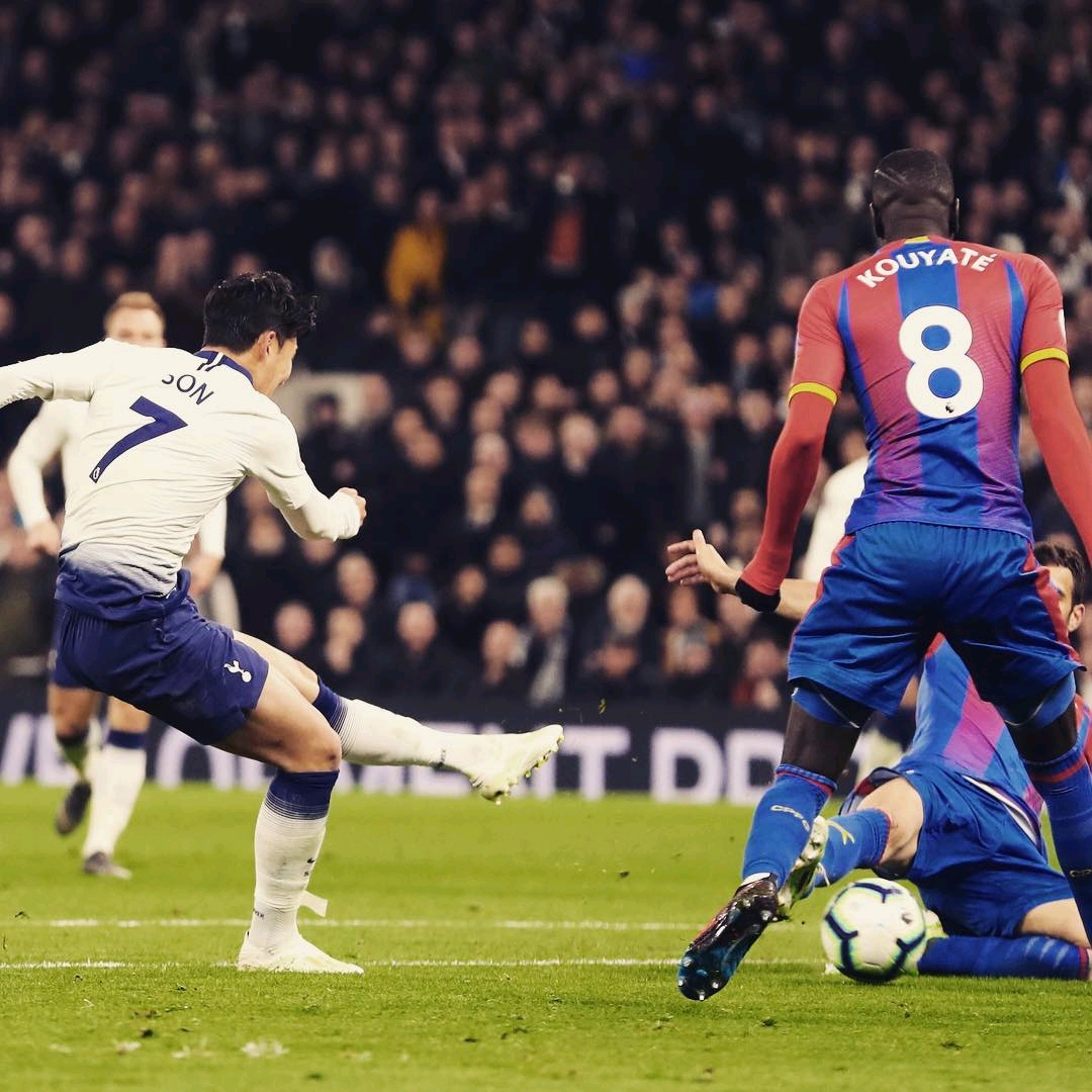 在分析塞爾 在分析塞爾